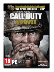Call of Duty: WWII (PC)