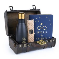 PYRAMID HARRY POTTER - TROUBLE FINDS ME PREMIUM GIFT SET