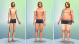 The Sims 4 (pc)