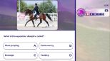Equestrian Training (Nintendo Switch)