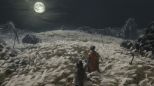 Sekiro: Shadows Die Twice (PC) 