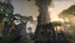 The Elder Scrolls Online: Tamriel Unlimited (Playstation 4)