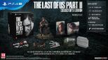 The Last of Us Part II - Collectors Edition (PS4)