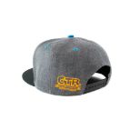 Official Crash Team Racing Nitro-Fueled Face Snapback