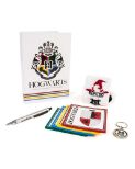 NUMSKULL Harry Potter Hogwarts darilni set