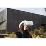 DJI Goggles