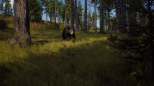 Way of the Hunter (PC)