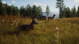 Way of the Hunter (PC)