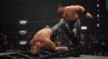 AEW: Fight Forever (PC)