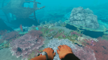 Stranded Deep (Nintendo Switch)