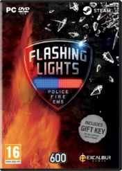 Flashing Lights (PC)