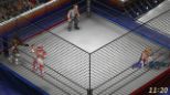 Fire Pro Wrestling World (PS4)