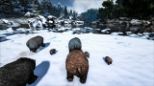 ARK: Survival Evolved (Xone)