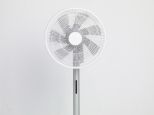 SMARTMI STANDING FAN 3 ()