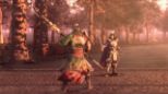 Dynasty Warriors 9 (Playstation 4)