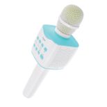 MOYE MICROPHONE MELODIOUS MDS-5 KARAOKE MIKROFON