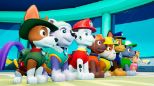 Paw Patrol: On a roll! and PAW Patrol: Mighty Pups Save Adventure Bay Bundle (Playstation 4)