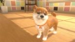 Little Friends: Dogs & Cats (Switch)