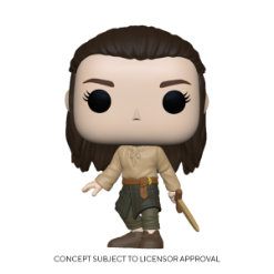 FUNKO POP TV: GAME OF THRONES - ARYA TRAINING