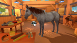 Equestrian Training (Nintendo Switch)