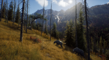 Way of the Hunter (Playstation 5)