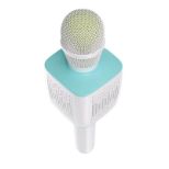 MOYE MICROPHONE MELODIOUS MDS-5 KARAOKE MIKROFON