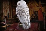 NOBLE COLLECTION - HARRY POTTER - HEDWIG RESIN SCULPTURE