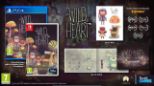 The Wild At Heart (Nintendo Switch)