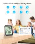 GOVEE BLUETOOTH termometer in higrometer z zaslonom