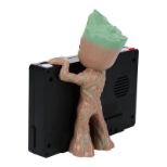 PALADONE GROOT BUDILKA