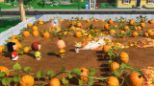 Snoopy: The Great Mystery Club (Nintendo Switch)