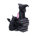 NEMESIS NOW CULT CUTIES CURIOUS CAULDRON figura