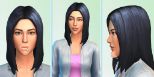 The Sims 4 (pc)