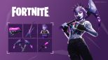 Fortnite - Darkfire & Ice Bundle (Nintendo Switch)
