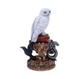 NEMESIS NOW Harry Potter Hedwig figurica