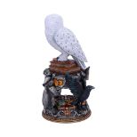NEMESIS NOW Harry Potter Hedwig figurica