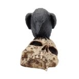 NEMESIS NOW RAVENS REMAINS figura 13CM