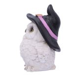 NEMESIS NOW Snowy Spells figurica