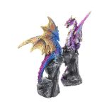 NEMESIS NOW REALM PROTECTORS (SET OF 2) figuri 15CM