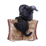 NEMESIS NOW KITTY'S GRIMOIRE (RED) 8,2CM figura