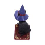 NEMESIS NOW HOCUS 12,7CM figura