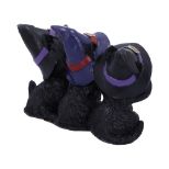 NEMESIS NOW THREE WISE BLACK CATS 11,5CM figura