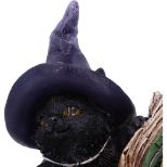 NEMESIS NOW KITTY'S GRIMOIRE (GREEN) 8,2CM figura