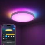 GOVEE RGBWW + RGBIC Smart Ceiling Light 30cm