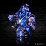 NEMESIS NOW MORTAL KOMBAT SUB-ZERO kipec 29CM