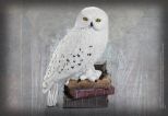 NOBLE COLLECTION Harry Potter magical creatures Hedwig figurica