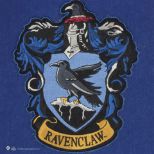 CINEREPLICAS: WALL BANNER - RAVENCLAW