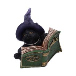 NEMESIS NOW KITTY'S GRIMOIRE (GREEN) 8,2CM figura