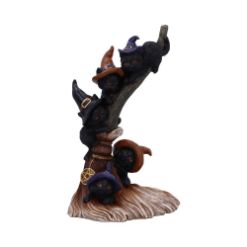 NEMESIS NOW BROOMSTICK KINDLE 21CM figura
