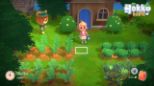 Hokko Life (Nintendo Switch)